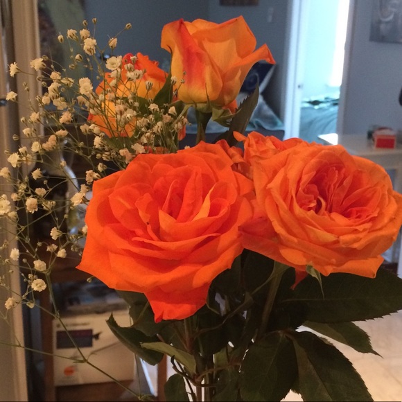 Meet your Posher, J - Picture 1 of 1